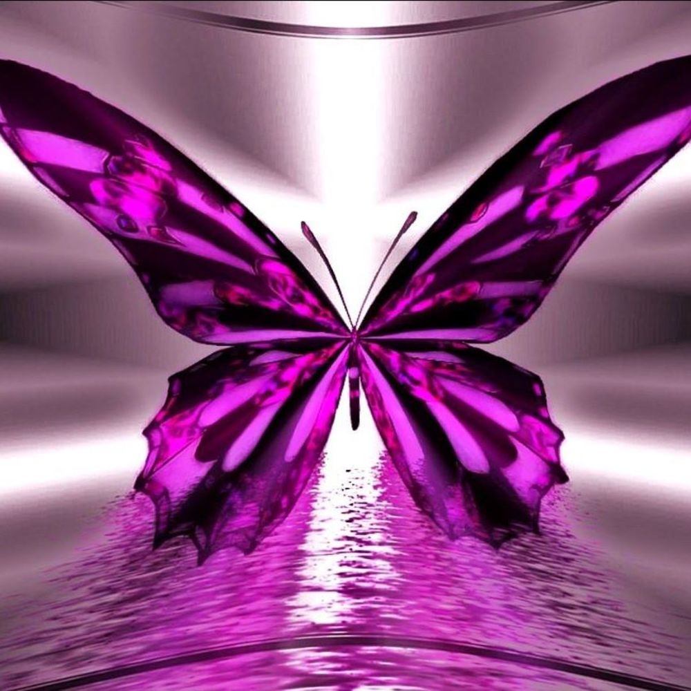 Meet your Posher, Fay